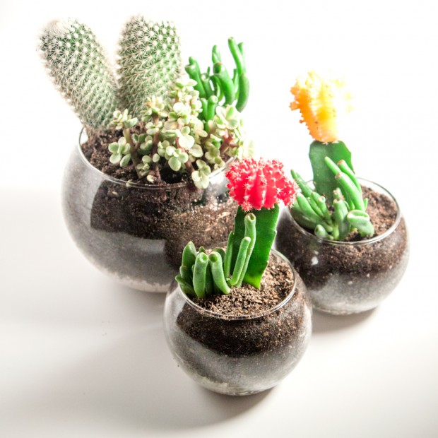 16 Inspirational Ideas How To Make A Perfect Terrarium On Your Own 98 620x6201 16 Inspirational Ideas How To Make A Perfect Terrarium On Your Own