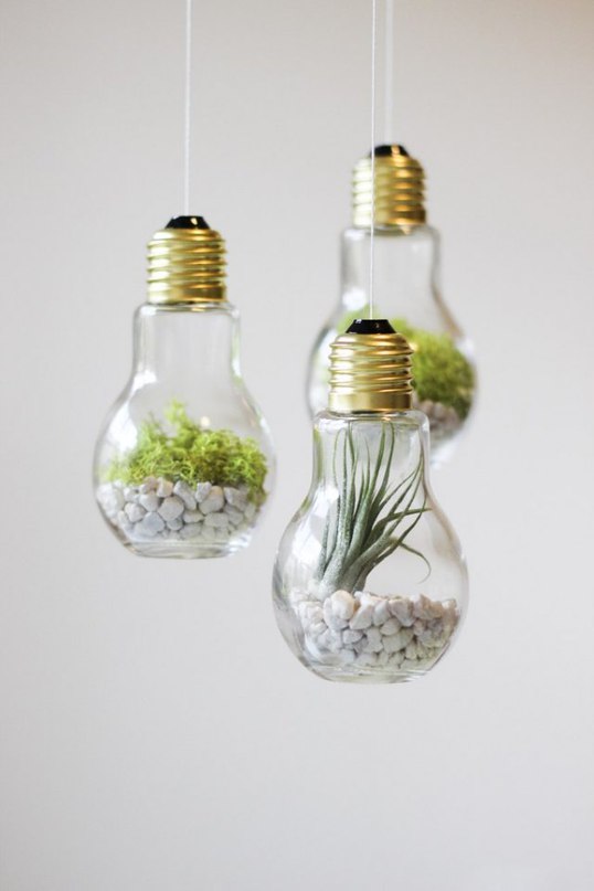 CSEJrKT7b1Y 16 Inspirational Ideas How To Make A Perfect Terrarium On Your Own