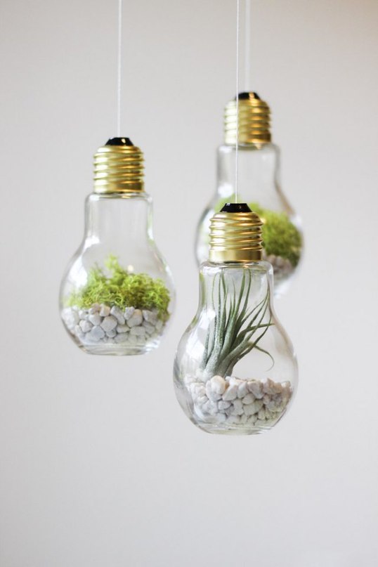 16 Inspirational Ideas How To Make A Perfect Terrarium On Your Own CSEJrKT7b1Y 16 Inspirational Ideas How To Make A Perfect Terrarium On Your Own