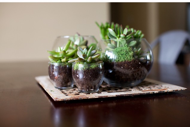 DIY terrarium 7 634x423 16 Inspirational Ideas How To Make A Perfect Terrarium On Your Own