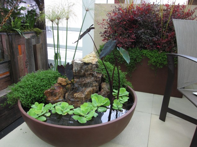 Make A Perfect Home Décor With These 17 Extraordinary Indoor Gardens IMG 4466 634x476 Make A Perfect Home Décor With These 17 Extraordinary Indoor Gardens