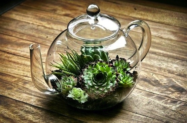 Tea Pot 620x 16 Inspirational Ideas How To Make A Perfect Terrarium On Your Own