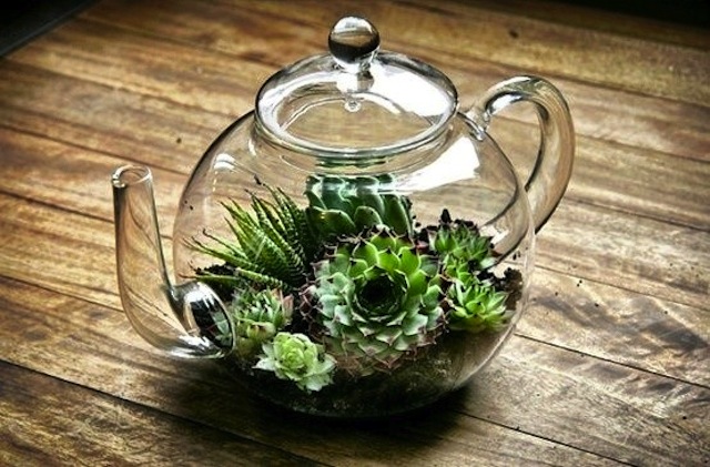 16 Inspirational Ideas How To Make A Perfect Terrarium On Your Own Tea Pot 620x 16 Inspirational Ideas How To Make A Perfect Terrarium On Your Own