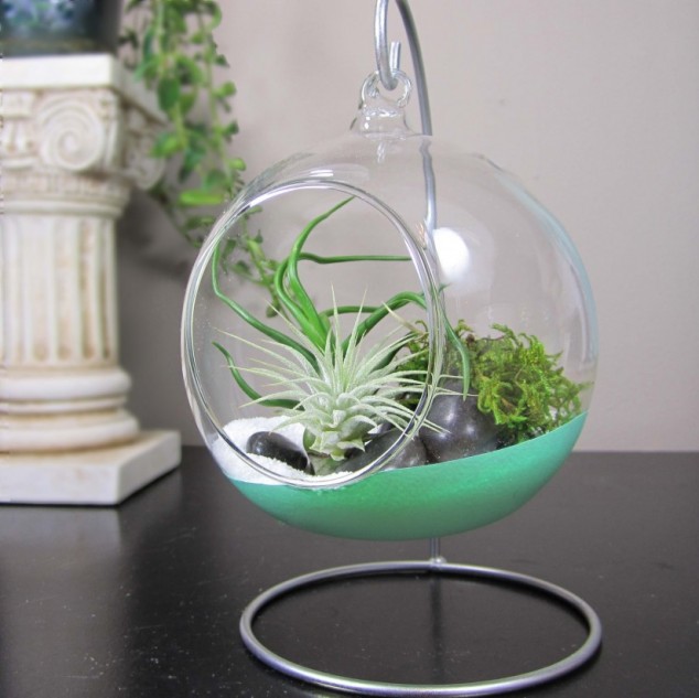16 Inspirational Ideas How To Make A Perfect Terrarium On Your Own i 39 ll show you how to make how to make an air plant 825x824 634x633 16 Inspirational Ideas How To Make A Perfect Terrarium On Your Own