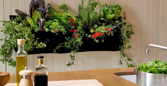 Make A Perfect Home Décor With These 17 Extraordinary Indoor Gardens img55 650x335 634x327 Make A Perfect Home Décor With These 17 Extraordinary Indoor Gardens