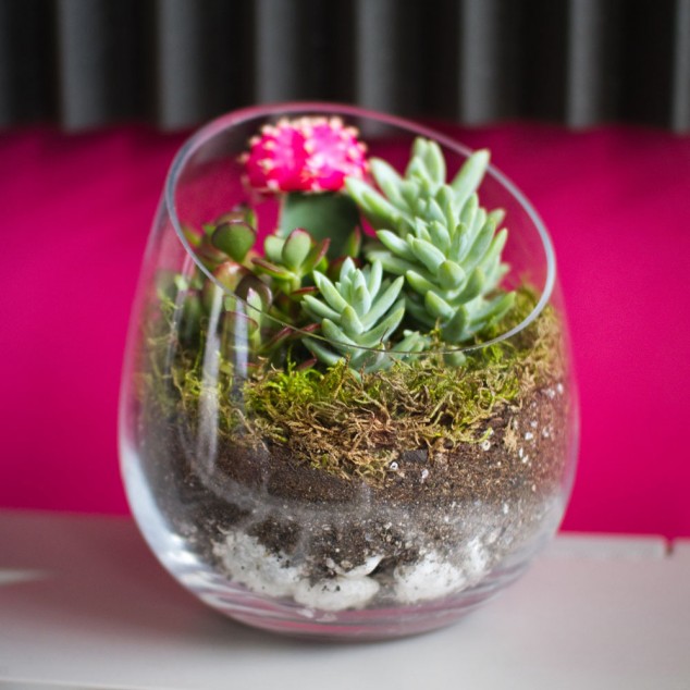 16 Inspirational Ideas How To Make A Perfect Terrarium On Your Own sideways piano 634x634 16 Inspirational Ideas How To Make A Perfect Terrarium On Your Own