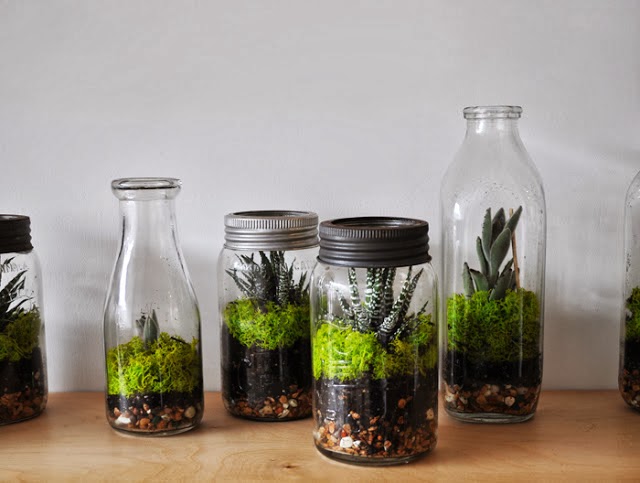 16 Inspirational Ideas How To Make A Perfect Terrarium On Your Own terrarium 16 Inspirational Ideas How To Make A Perfect Terrarium On Your Own