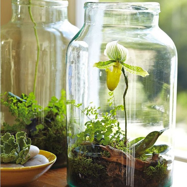 Make A Perfect Home Décor With These 17 Extraordinary Indoor Gardens terrarium comment le faire soi meme quel contenant 634x634 Make A Perfect Home Décor With These 17 Extraordinary Indoor Gardens