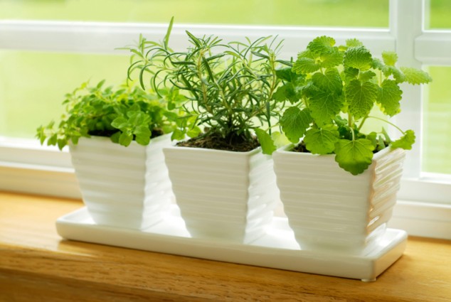 Make A Perfect Home Décor With These 17 Extraordinary Indoor Gardens windowsill herb garden is 634x425 Make A Perfect Home Décor With These 17 Extraordinary Indoor Gardens