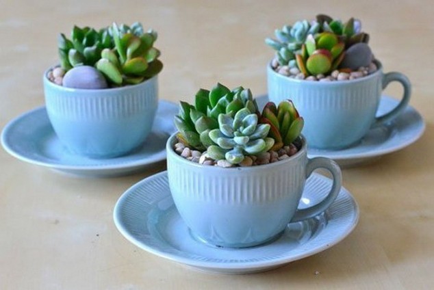 0IAoKDDndiUW 634x424 14 Clever Ideas How To Recycle Old Kitchenware Into Planters