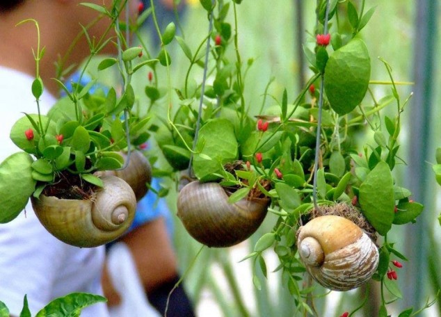 15 Simple But Creative DIY Ideas To Grow Plants And Decorate Your Home And Garden 71371085 1000 634x456 15 Simple But Creative DIY Ideas To Grow Plants And Decorate Your Home And Garden