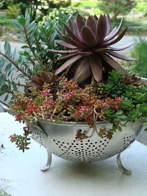 15 Simple But Creative DIY Ideas To Grow Plants And Decorate Your Home And Garden 80700bb79055f2535c871f569cca314d 15 Simple But Creative DIY Ideas To Grow Plants And Decorate Your Home And Garden