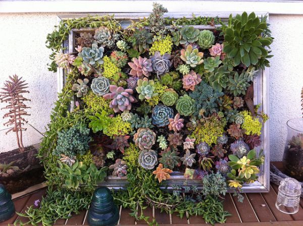 Hanging succulent DIY garden from vintage frame 12 Ideas Which Materials to Use to Make A Vertical Garden