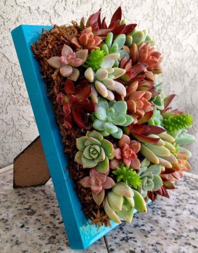 15 Simple But Creative DIY Ideas To Grow Plants And Decorate Your Home And Garden 15 Simple But Creative DIY Ideas To Grow Plants And Decorate Your Home And Garden