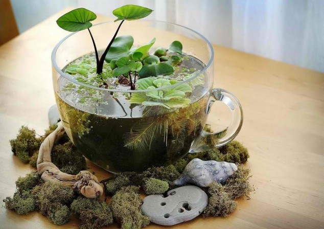 14 Clever Ideas How To Recycle Old Kitchenware Into Planters dhandycraft. com 634x448 14 Clever Ideas How To Recycle Old Kitchenware Into Planters