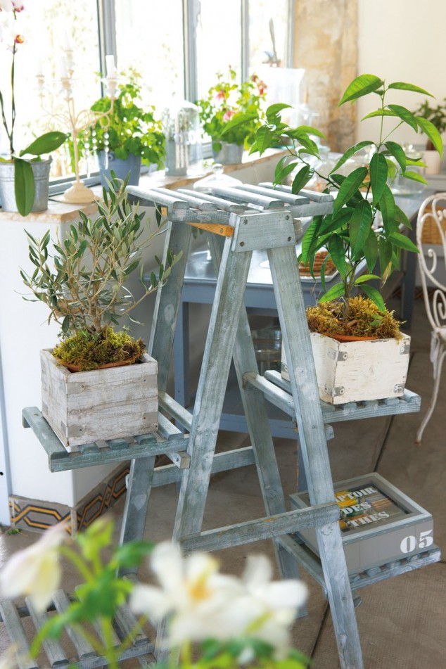 15 Simple But Creative DIY Ideas To Grow Plants And Decorate Your Home And Garden escalera para plantas 853x1280 634x951 15 Simple But Creative DIY Ideas To Grow Plants And Decorate Your Home And Garden