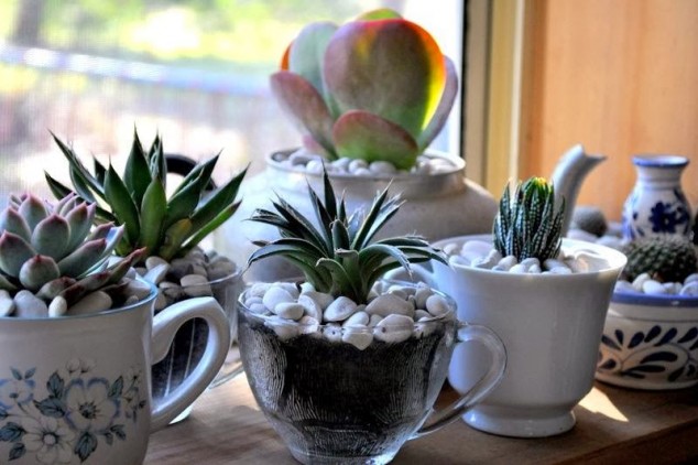 15 Simple But Creative DIY Ideas To Grow Plants And Decorate Your Home And Garden f7445c57542e48088353ae20a646f430 634x422 15 Simple But Creative DIY Ideas To Grow Plants And Decorate Your Home And Garden