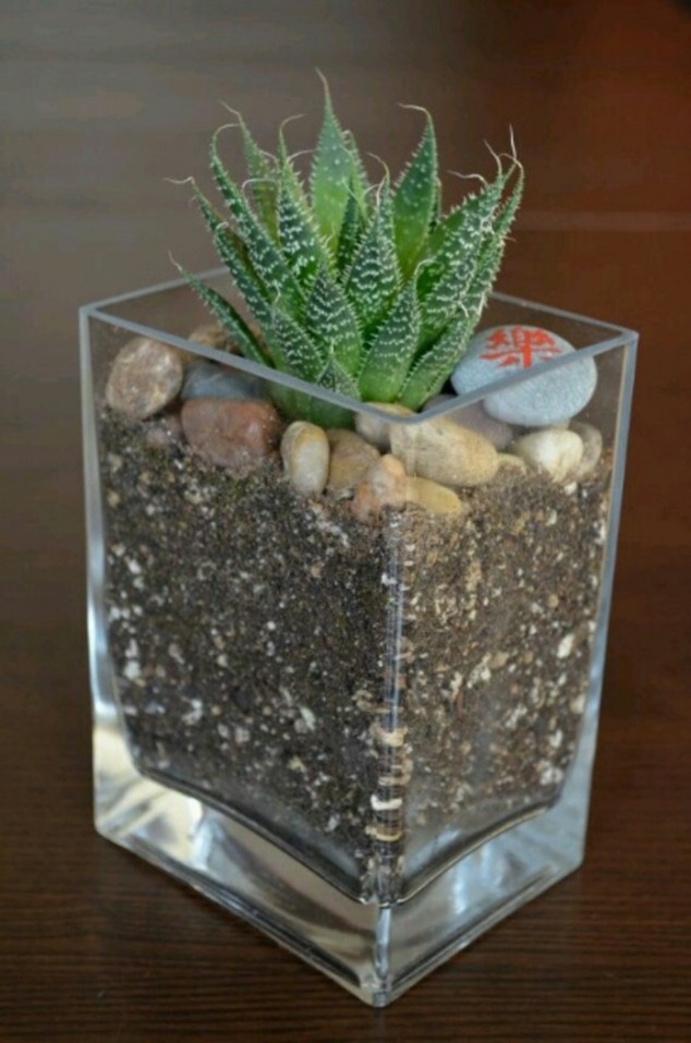 15 Simple But Creative DIY Ideas To Grow Plants And Decorate Your Home And Garden gioflorist custom 11 634x957 15 Simple But Creative DIY Ideas To Grow Plants And Decorate Your Home And Garden