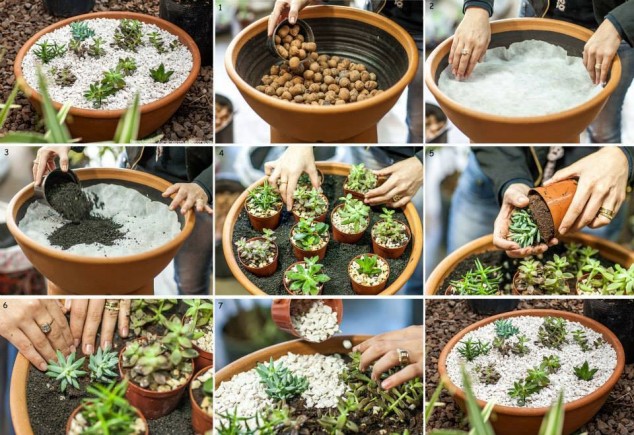 15 Simple But Creative DIY Ideas To Grow Plants And Decorate Your Home And Garden original 634x435 15 Simple But Creative DIY Ideas To Grow Plants And Decorate Your Home And Garden