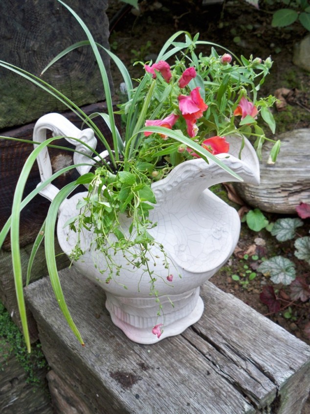 pitcher 634x845 14 Clever Ideas How To Recycle Old Kitchenware Into Planters