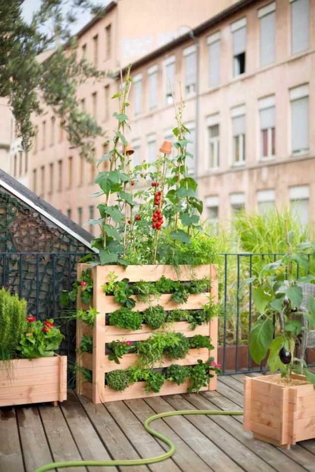 12 Ideas Which Materials to Use to Make A Vertical Garden potager vertical balcon palette 634x951 12 Ideas Which Materials to Use to Make A Vertical Garden