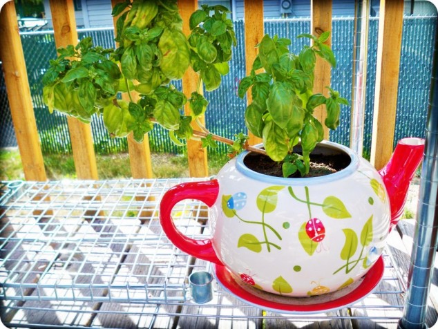 14 Clever Ideas How To Recycle Old Kitchenware Into Planters teapotplant 1024x768 634x476 14 Clever Ideas How To Recycle Old Kitchenware Into Planters
