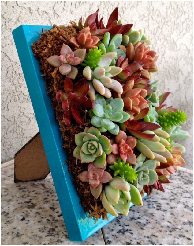  15 Fantastic Succulent Garden Ideas For Your Home