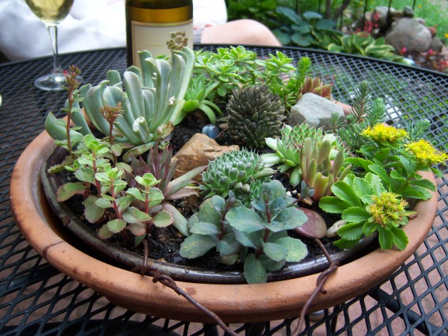 100 2880 634x476 15 Fantastic Succulent Garden Ideas For Your Home