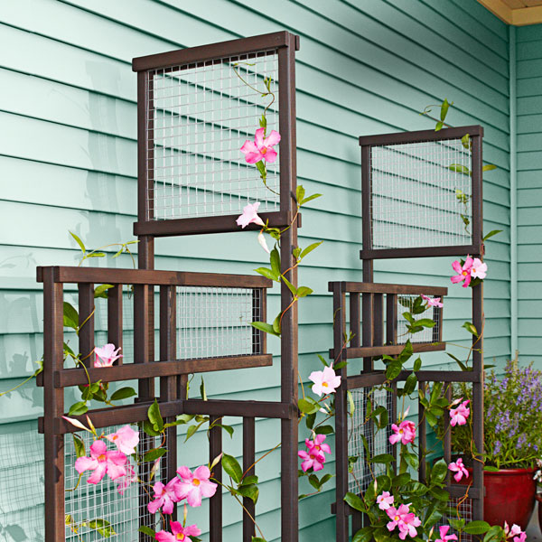 13 Exceptional DIY Trellis Ideas For You Garden 101787609 PP 13 Exceptional DIY Trellis Ideas For You Garden
