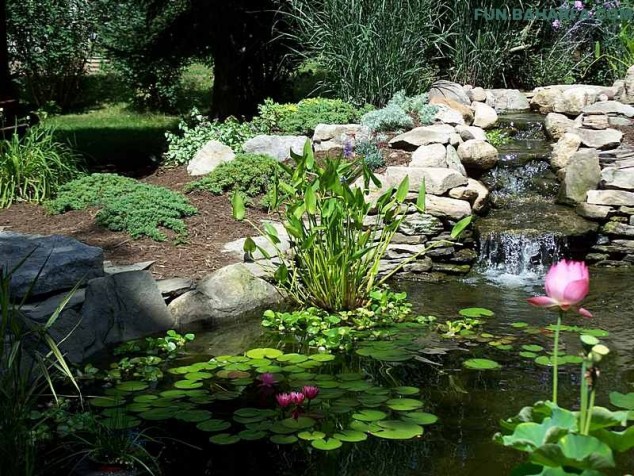 12154545 42 634x476 18 Lovely Ponds And Water Gardens For Your Backyard