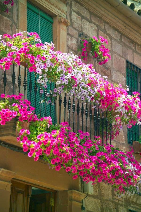 1527066 595915067230419 3421081401562820695 n 12 Extraordinary Floral Balconies That Will Catch The Attention Of Passerby