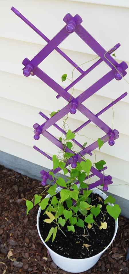 2 diy garden trellis projects 13 Exceptional DIY Trellis Ideas For You Garden
