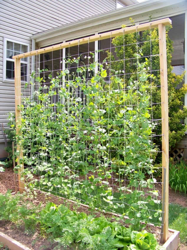 3cb8b9bb57aad4d2e477dc3e4d220a8e 634x845 13 Exceptional DIY Trellis Ideas For You Garden