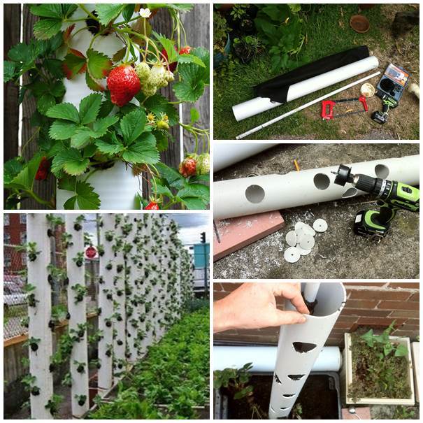 12 Original PVC Pipe Planters To Liven Up Your Garden 40 Creative DIY Garden Containers and Planters from Recycled Materials 40 12 Original PVC Pipe Planters To Liven Up Your Garden