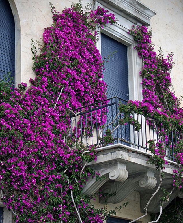 7 634x773 12 Extraordinary Floral Balconies That Will Catch The Attention Of Passerby