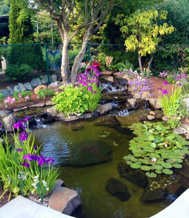 78824308e72b6f835c7d277be68067e7 634x733 18 Lovely Ponds And Water Gardens For Your Backyard