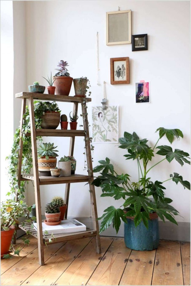 12 Lovely Plant Stands That Are Perfect To Display Your Favorite Plants Indoors AD Amazing Ideas For Indoor Plants 05 634x949 12 Lovely Plant Stands That Are Perfect To Display Your Favorite Plants Indoors