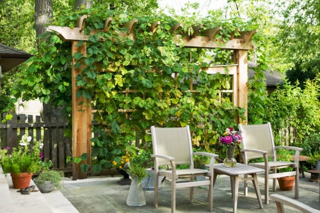 Arbor and Trellis Ideas 634x422 10 Imaginative Outdoor Structures That Add Visual Interest