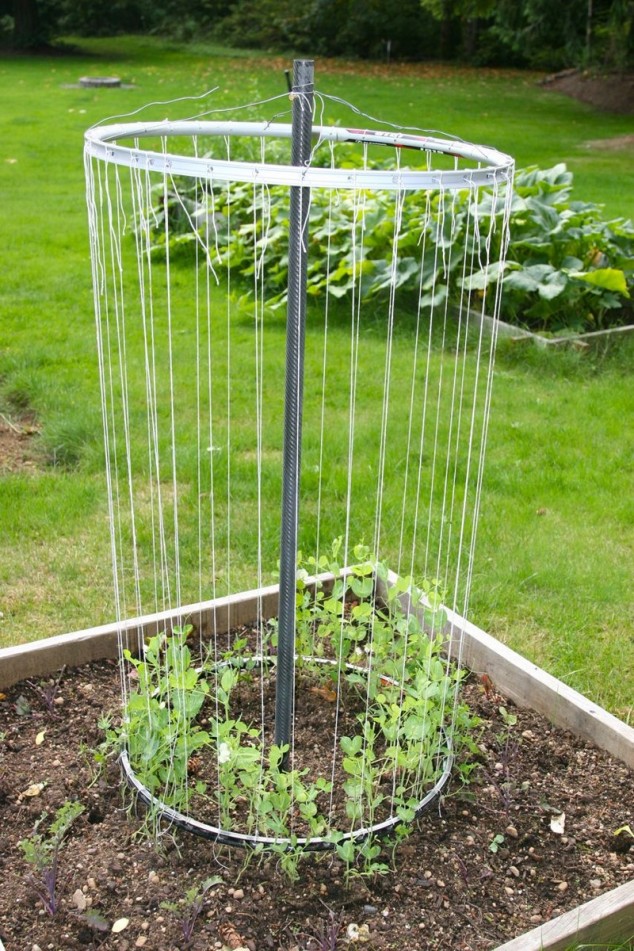 13 Exceptional DIY Trellis Ideas For You Garden Bike Rim Trellis 634x951 13 Exceptional DIY Trellis Ideas For You Garden