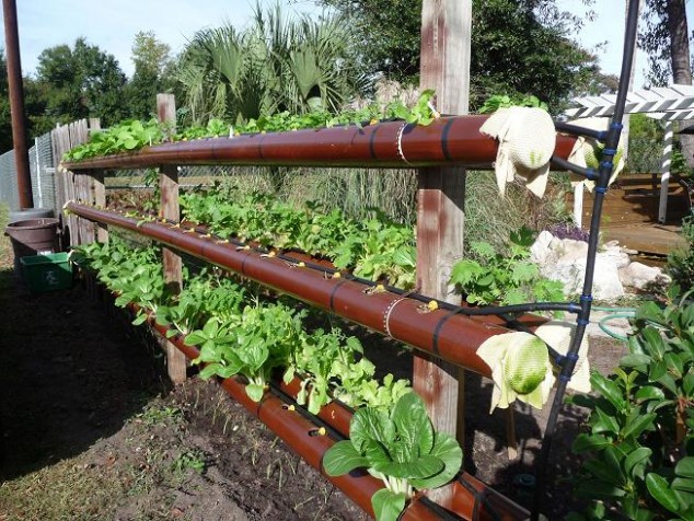 DIY Hydroponic Garden Tower Using PVC Pipes wonderfuldiy1 634x476 12 Original PVC Pipe Planters To Liven Up Your Garden