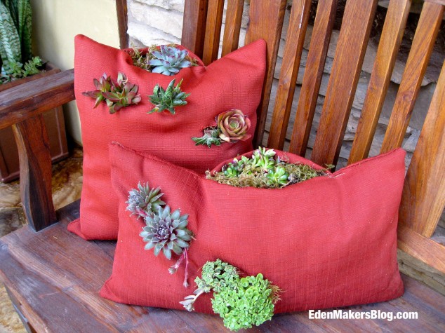 Living Tapestry Succulent Pillows Shirley Bovshow 634x475 15 Fantastic Succulent Garden Ideas For Your Home