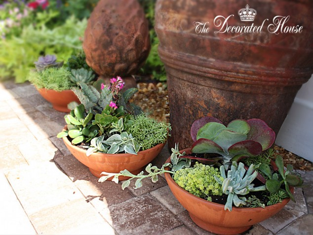 The2BDecorated2BHouse2B22BHow2BTo2BPlant2BSucculents 634x477 15 Fantastic Succulent Garden Ideas For Your Home