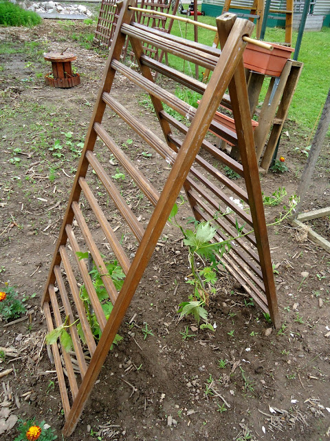 Use the Side of an Old Crib as a Trellis 13 Exceptional DIY Trellis Ideas For You Garden