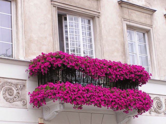 casapinda 12 Extraordinary Floral Balconies That Will Catch The Attention Of Passerby