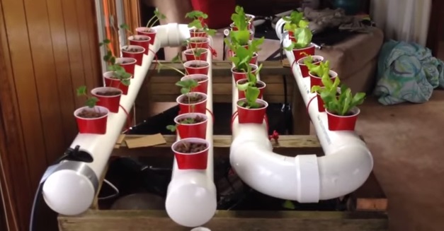 complete 12 Original PVC Pipe Planters To Liven Up Your Garden