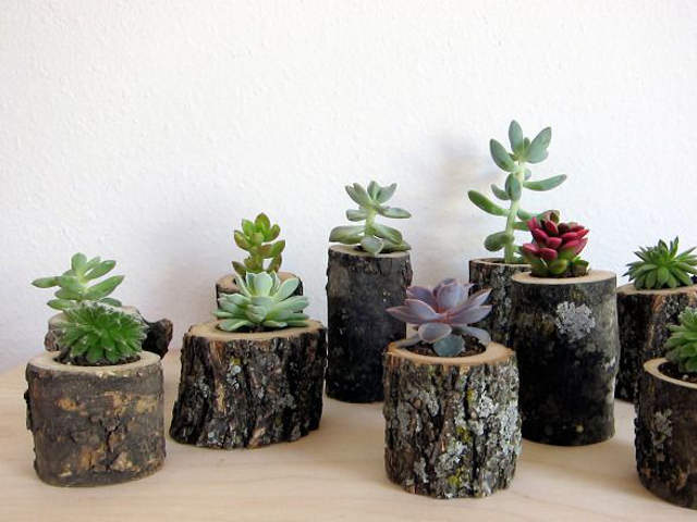 15 Fantastic DIY Home And Garden Wood Log Decorations creative diy log planter projects 3 15 Fantastic DIY Home And Garden Wood Log Decorations