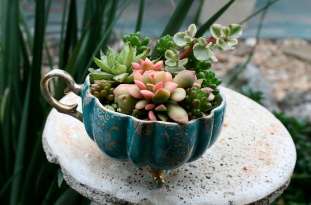 dekorationsideen sukkulenten teetasse arrangieren garten 634x418 15 Fantastic Succulent Garden Ideas For Your Home