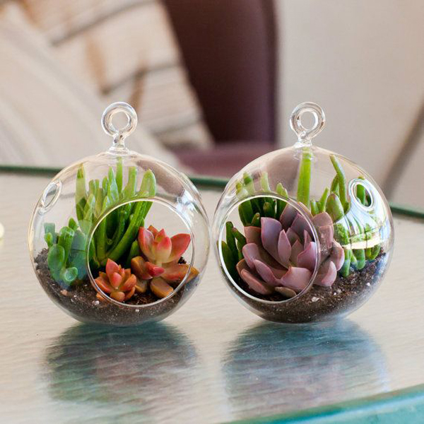 double mini succulents garden 15 Fantastic Succulent Garden Ideas For Your Home