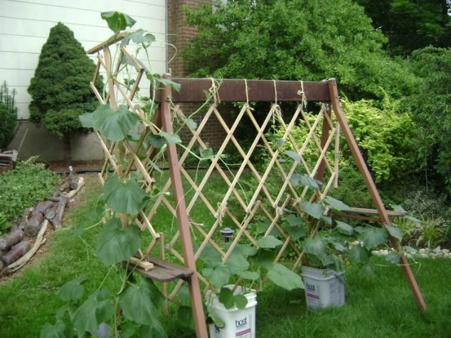 ef335b3c3b10336373133bf3ad0752fd 634x476 13 Exceptional DIY Trellis Ideas For You Garden