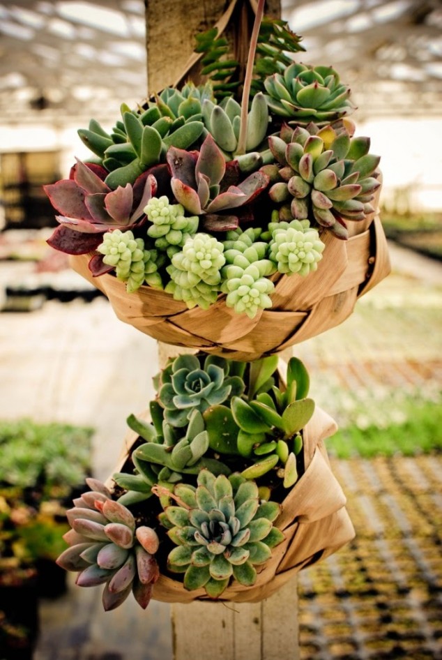 fb8fa833b51b8bfb9e4003a48a93b918 634x946 15 Fantastic Succulent Garden Ideas For Your Home